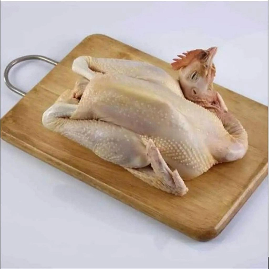 Ayam Pejantan Beku