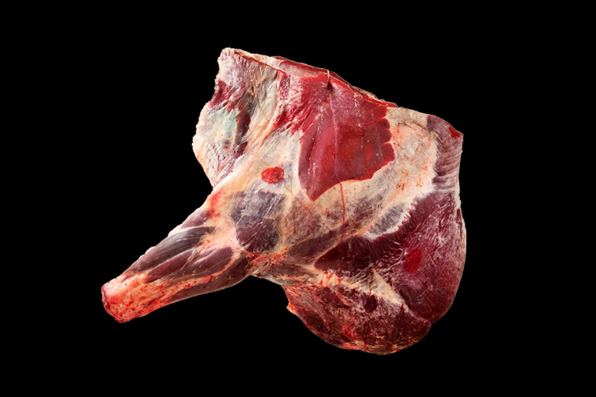 Daging Sapi Forequarter